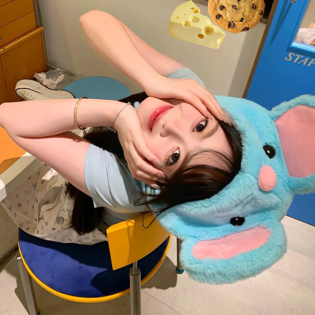 活动写真